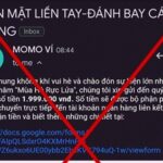Gia Mao Momo Gui Email Tang Tien De Chiem Doat Vi Dien Tu 2