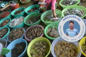 Top 10 địa chỉ chọn và thưởng thức hải sản Côn Đảo tươi sống
