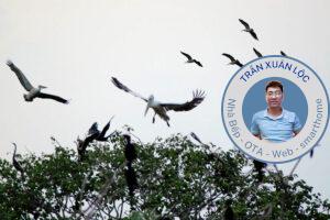 Khu bảo tồn thiên nhiên vườn chim Bạc Liêu tại tỉnh Bạc Liêu