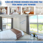 Txl Dang Bai Can Ho Prime Homes Halong Tai Toa New Life Tower