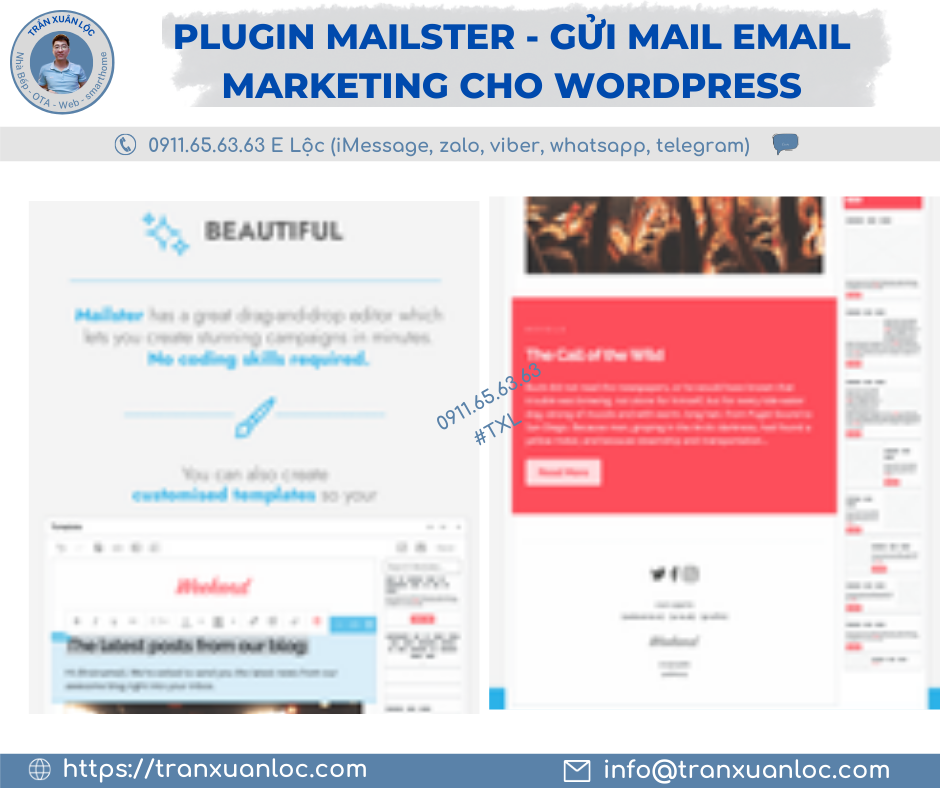 Txl Dang Bai Plugin Mailster Gui Mail Email Marketing Cho Wordpress